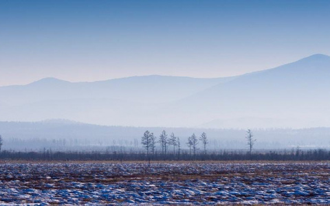 Как получить от государства бесплатную землю: подробный материал об арктических гектарах в Коми