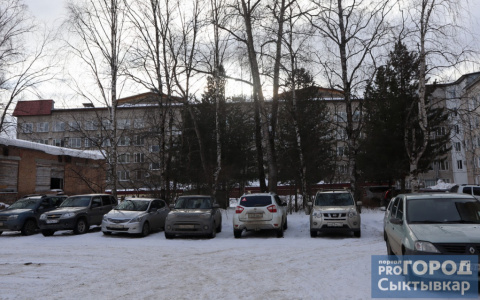 Администрация Сыктывкара ответила на возмущения жителей о срубе кедров