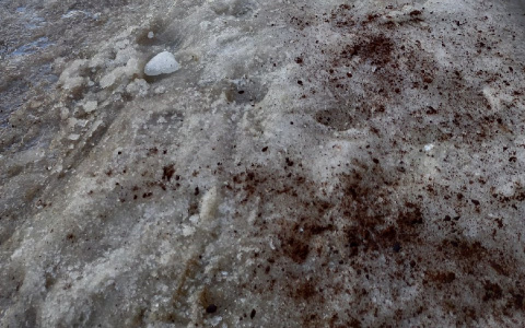 В Сыктывкаре тротуары посыпали кофейной гущей, чтобы спасти прохожих от гололеда