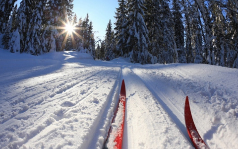 На лыжне в Сыктывкаре потерялся пятилетний ребенок