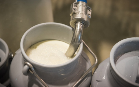 Россиян предупредили о подорожании молока на 10-15%