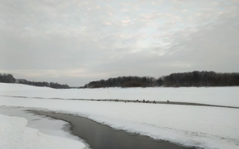 В Сыктывкаре утонул человек