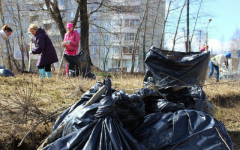 Субботник: кто и где будет убирать мусор в Сыктывкаре