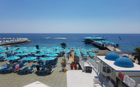 Авиасообщение с Турцией могут ограничить из-за пандемии коронавируса