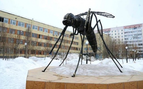 В трех городах Коми объявлено штормовое предупреждение