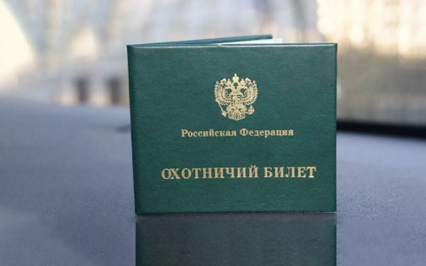 Минприроды Коми и прокуратура не сошлись во мнениях по поводу охотбилетов и судимостей