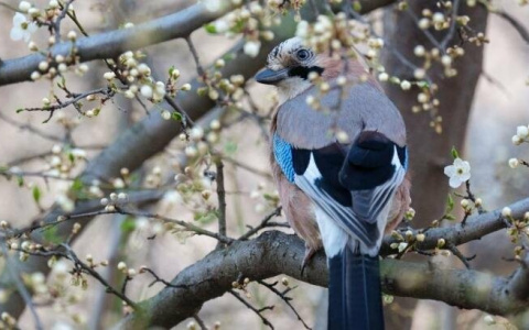 В Сыктывкаре снова теплеет: синоптики пообещали много солнца и ясного неба