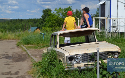 Синоптики дали прогноз на грядущее лето