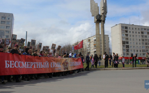 «Бессмертный полк-онлайн»: как зарегистрироваться