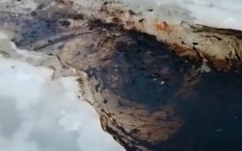 Росприроднадзор Коми возбудил дело в отношении предполагаемого виновника нефтеразлива