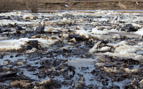 «Экосистема была критически нарушена»: эксперт озвучил свои версии недавнего разлива нефти в Ухте