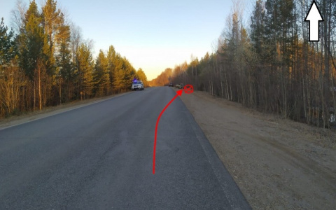 В Коми водитель без прав влетел в дерево