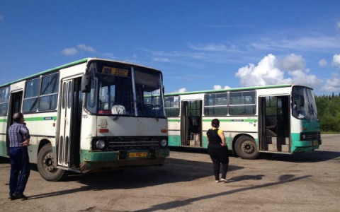 Пакуем сумки: в Сыктывкаре опубликовали расписание дачных автобусов