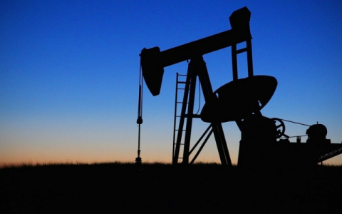 Право на нефтяную разведку в Коми получила компания с персоналом в одного человека