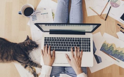 Оператор теплиц, кавист, асессор: необычные вакансии апреля в Коми