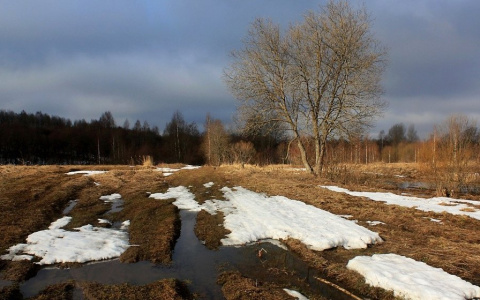 Погода в Сыктывкаре на 24 апреля: солнечная суббота