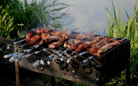 Жителям Коми запретили ходить в лес в начале мая