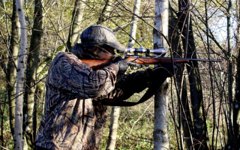 Сезон охоты: как получить разрешение в длинные майские выходные