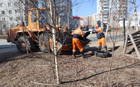 Некоторые министерства проигнорировали сыктывкарский субботник