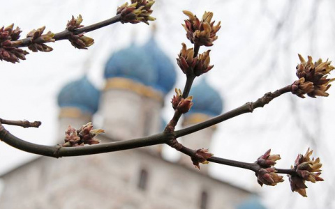 Погода в Сыктывкаре на 30 апреля: ночные заморозки и дождь