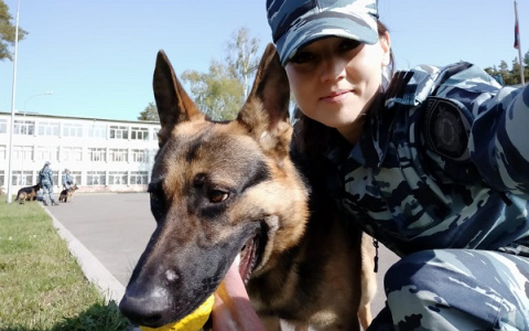 В Коми собака помогла полиции найти водку