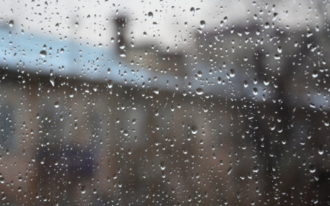 Погода в Сыктывкаре на 5 мая: синоптики пообещали потепление