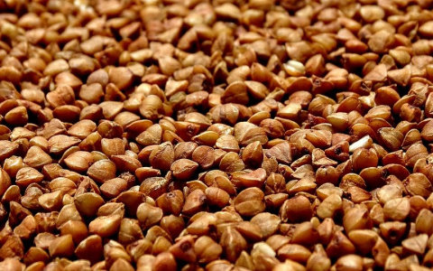 На вес золота: в России запретили вывоз гречки