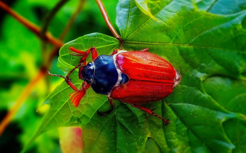 Погода в Сыктывкаре на 7 мая: синоптики пообещали настоящую жару