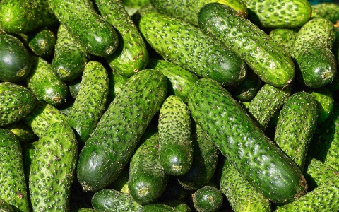 За неделю в Коми взлетела цена на огурцы