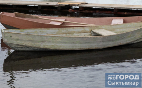 В МЧС Коми объявили об опасности подтопления
