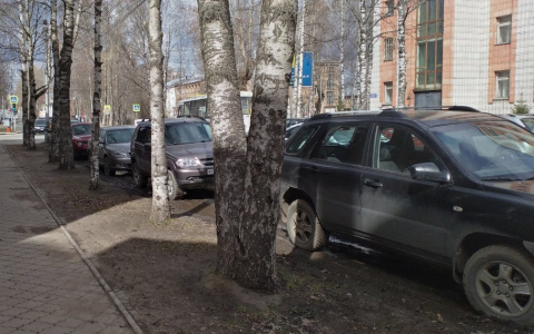 «При заезде на тротуар водитель может сбить пешехода»: сыктывкарские урбанисты стараются спасти газоны от машин