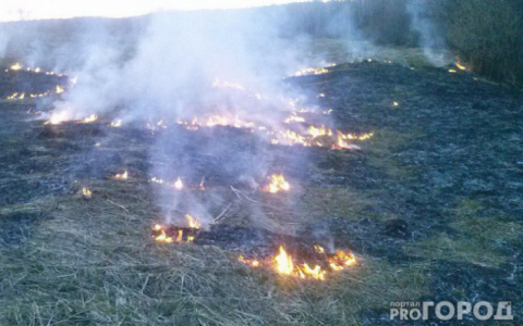 В Коми объявили максимальный уровень пожароопасности