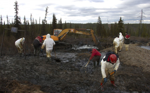 «Птицы не смогут взлететь и погибнут»: эколог оценил последствия нефтеразлива на Колве