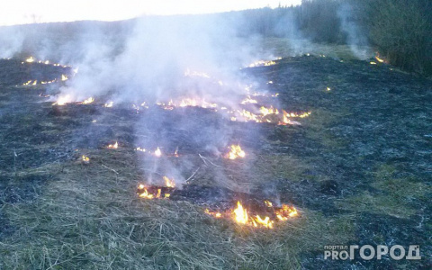 На юге Коми объявили чрезвычайно высокую пожароопасность