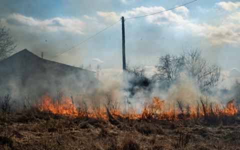 Все совсем наоборот: в Коми развеяли миф о необходимости пала сухой травы