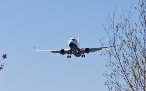 Минэкономразвития Коми планирует возобновить международные авиарейсы