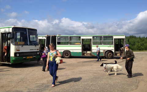 Сыктывкарцев отказались возить в Соколовку