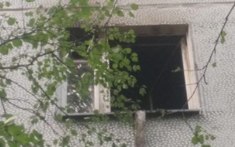 Спасся только кот: в Сыктывкаре на пожаре в многоэтажке умер человек