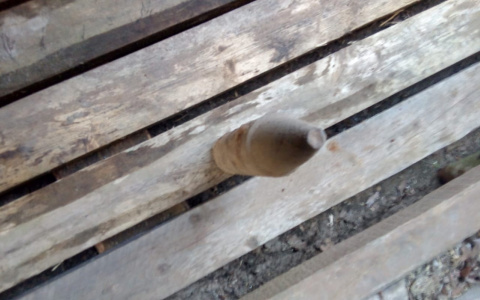 Щедрый урожай: сыктывкарцы нашли в огороде минометный снаряд