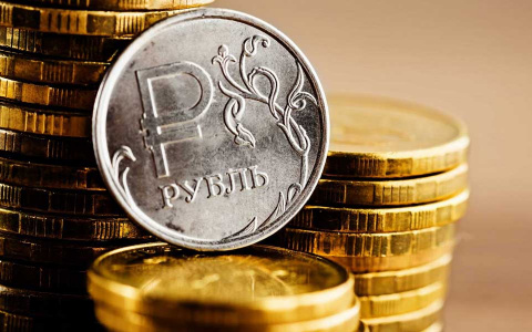 В России планируют расширить применение маткапитала