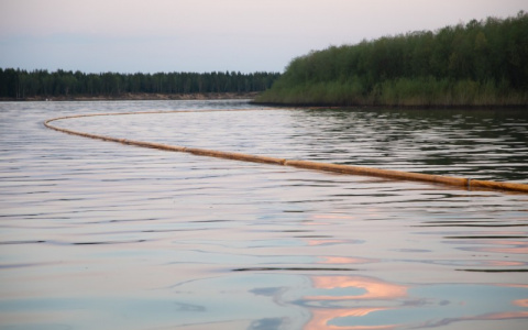 На Колве началась очистка берегов от нефти