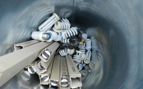 В Коми на окраине поселка обнаружили свалку экологически опасных ламп