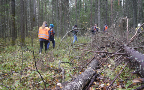 Неожиданное чудо: в Коми нашли живым мужчину, о котором не было вестей с 10 января