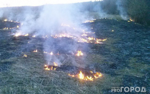 В одном из районов Коми сохраняется максимальный уровень пожароопасности