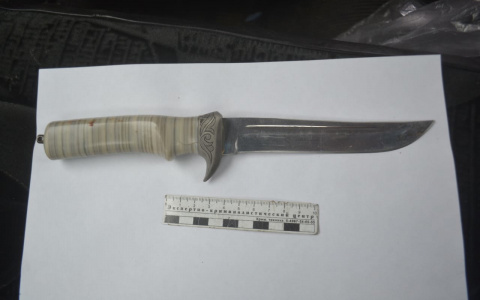 В Сыктывкаре мужчина напал с ножом на водителя и ограбил его