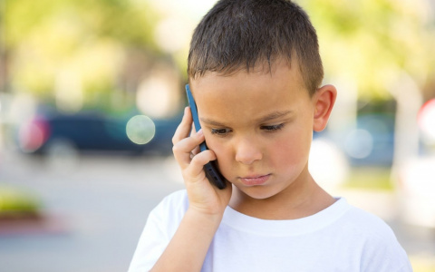 Более 50 тысяч россиян приняли участие в акции «День доверия»