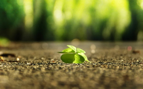 Избавьтесь немедленно: названы вещи, которые отпугивают удачу от знаков Зодиака