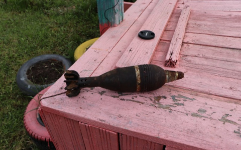 В Коми дачник откопал на участке минометный снаряд