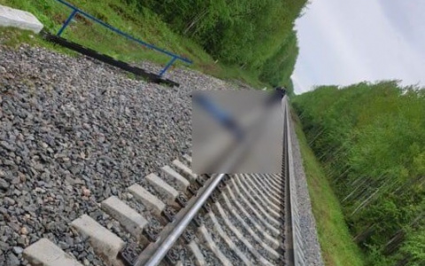 Проклятый перегон Човью-Койты или почему сыктывкарцы не реагируют на сигналы приближающегося поезда?