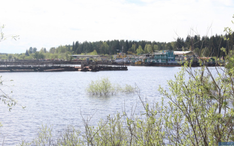 Погода в Сыктывкаре на 30 мая: снова прохладно